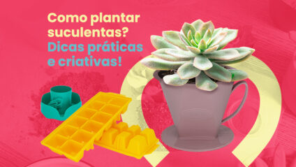 Como plantar suculentas? Veja dicas fáceis para ter seu jardim!